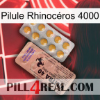 Pilule Rhinocéros 4000 41